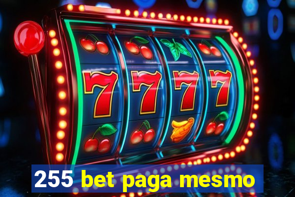 255 bet paga mesmo