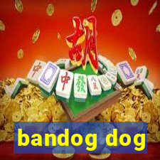 bandog dog