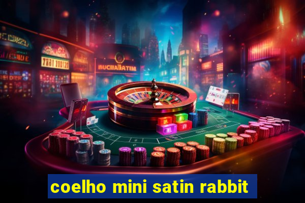 coelho mini satin rabbit