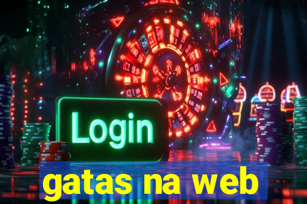 gatas na web