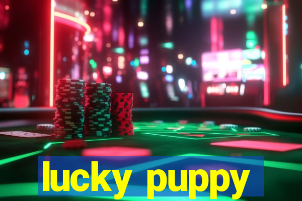 lucky puppy