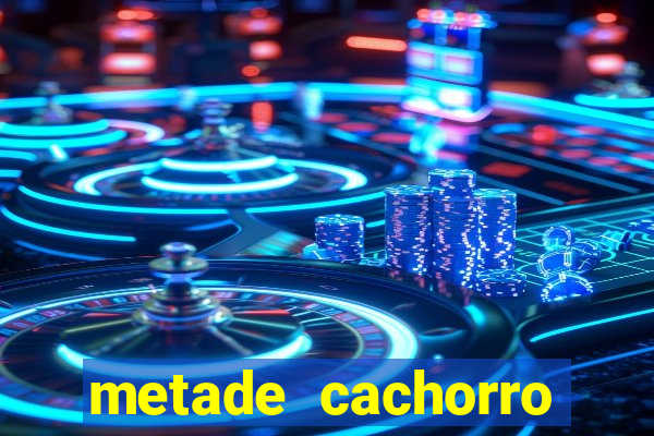 metade cachorro metade gato