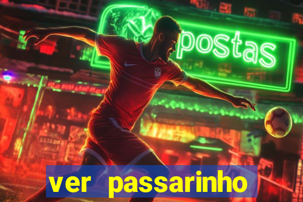 ver passarinho morto significado espiritual