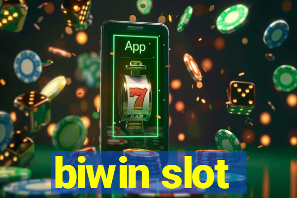 biwin slot