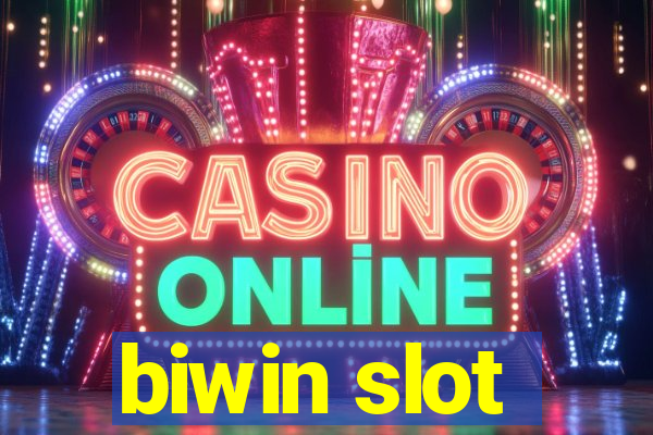 biwin slot