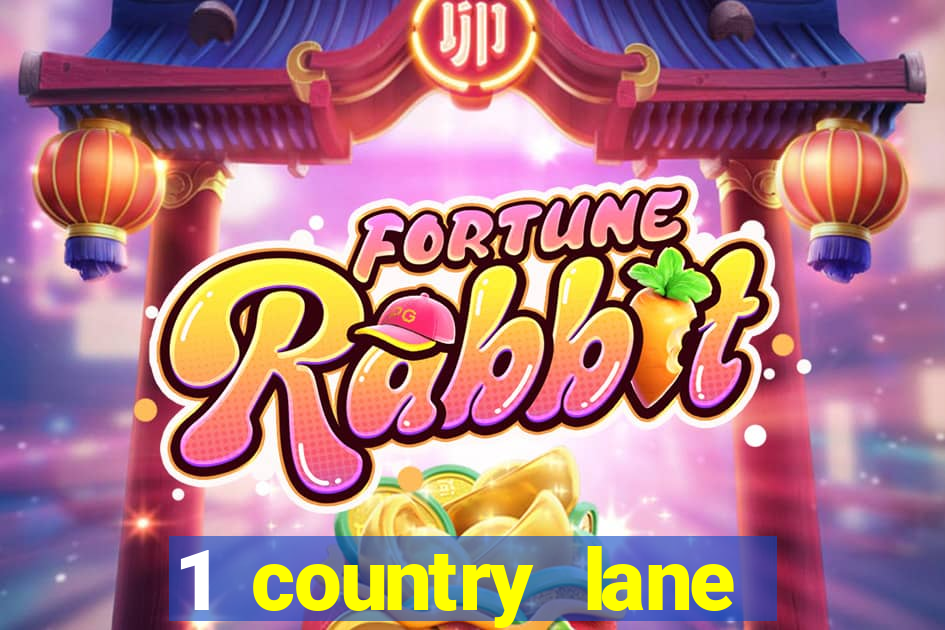 1 country lane casino nsw 2470