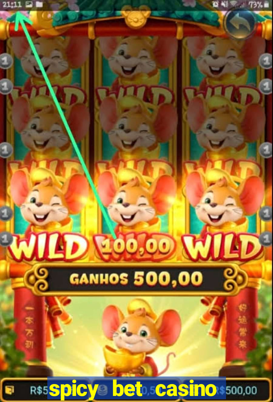 spicy bet casino como funciona