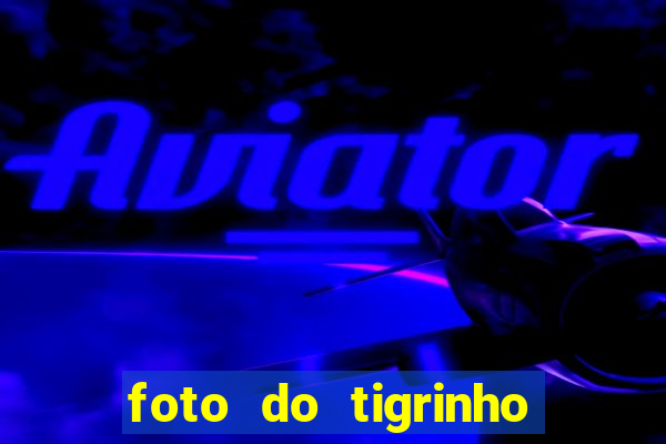 foto do tigrinho do jogo