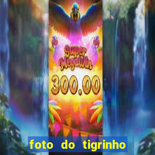 foto do tigrinho do jogo