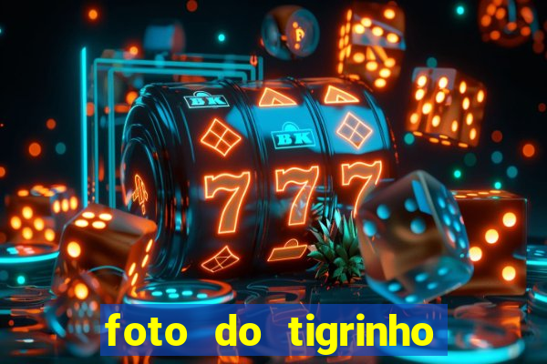 foto do tigrinho do jogo