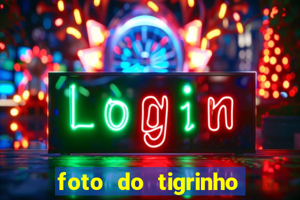 foto do tigrinho do jogo