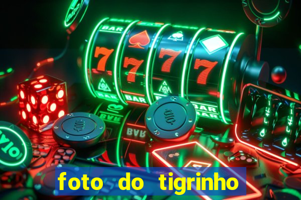 foto do tigrinho do jogo