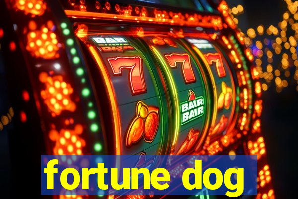 fortune dog