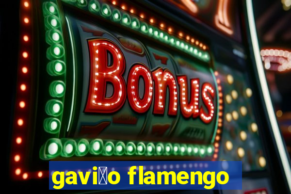 gavi茫o flamengo