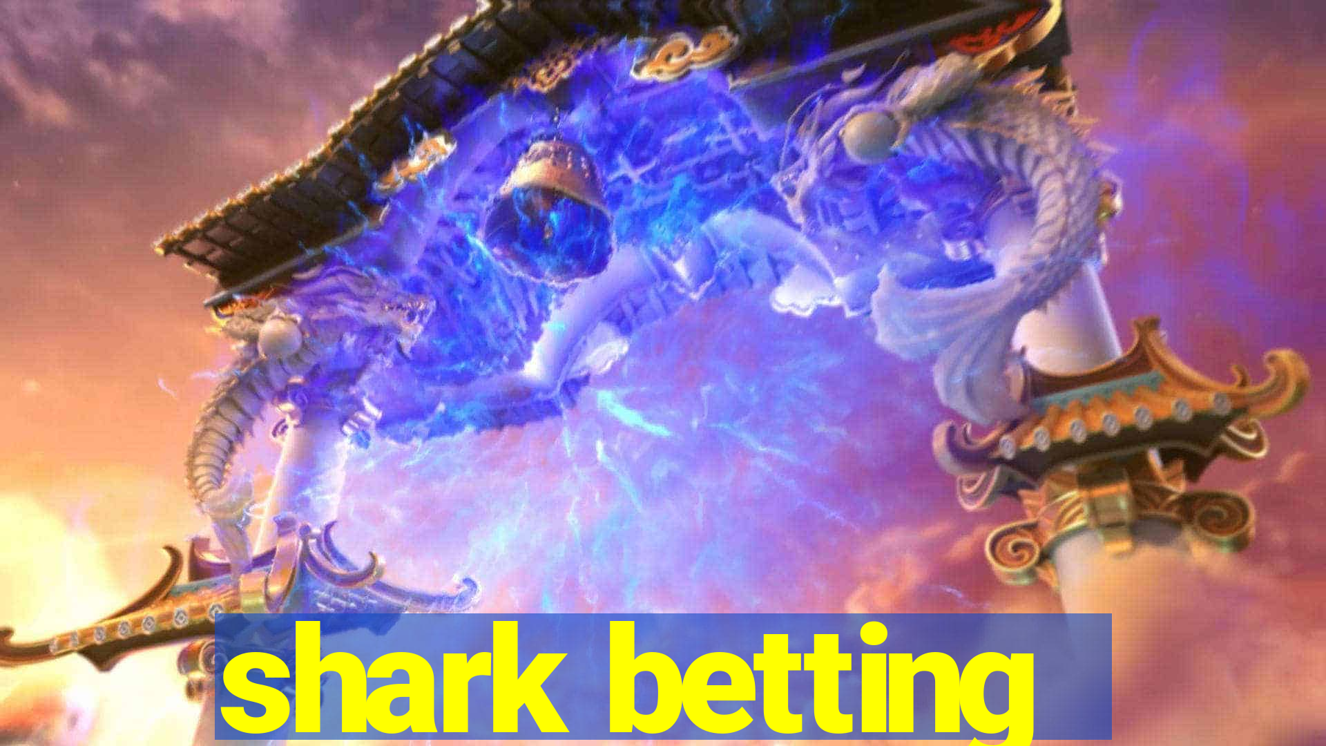 shark betting