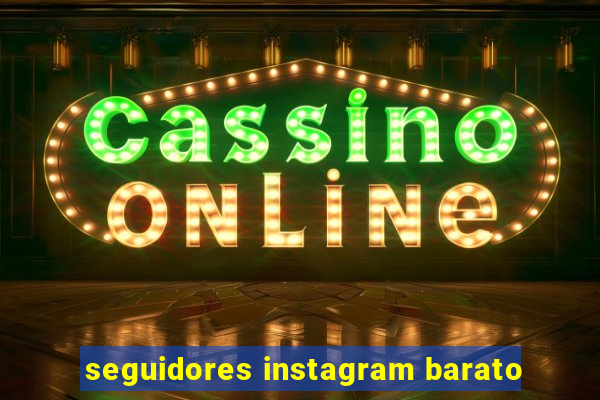 seguidores instagram barato