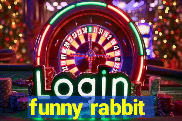 funny rabbit