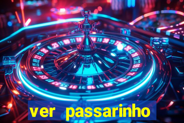 ver passarinho morto significado