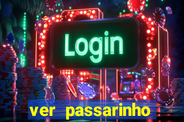 ver passarinho morto significado