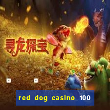 red dog casino 100 free spins