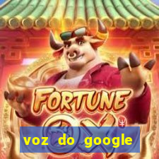 voz do google tradutor homem