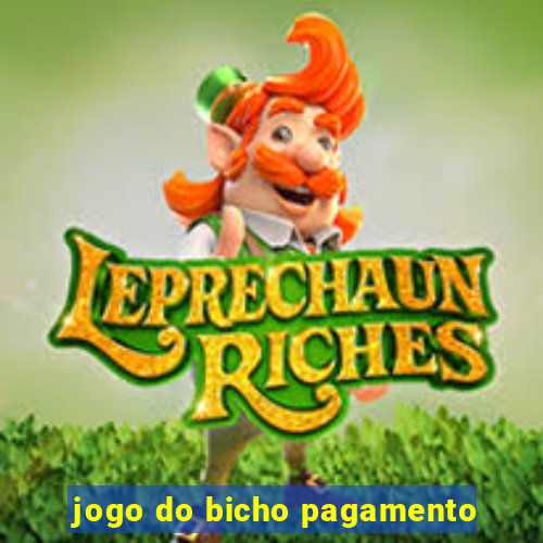 jogo do bicho pagamento