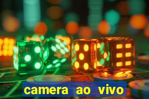 camera ao vivo terminal vila nova cachoeirinha