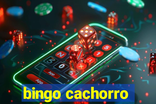 bingo cachorro