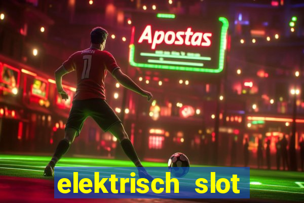 elektrisch slot houten poort