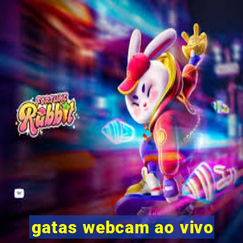 gatas webcam ao vivo