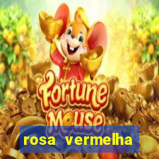 rosa vermelha (letra e cifra)