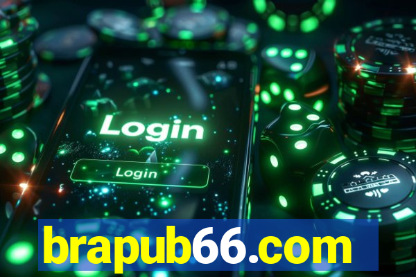 brapub66.com