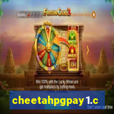 cheetahpgpay1.com