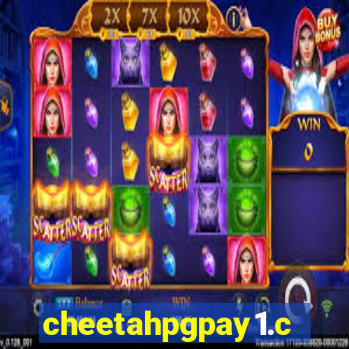 cheetahpgpay1.com