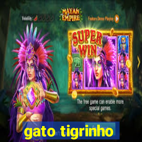 gato tigrinho