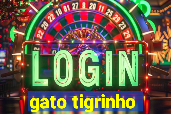 gato tigrinho