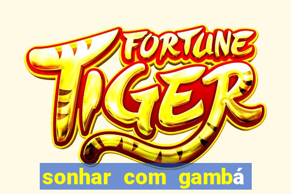 sonhar com gambá jogo do bicho