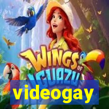 videogay