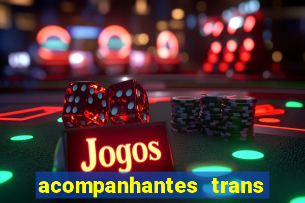 acompanhantes trans baixada fluminense