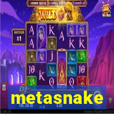 metasnake