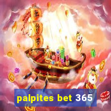 palpites bet 365