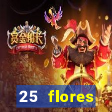 25 flores silvestres desbravadores