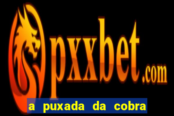 a puxada da cobra no jogo do bicho