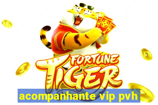 acompanhante vip pvh