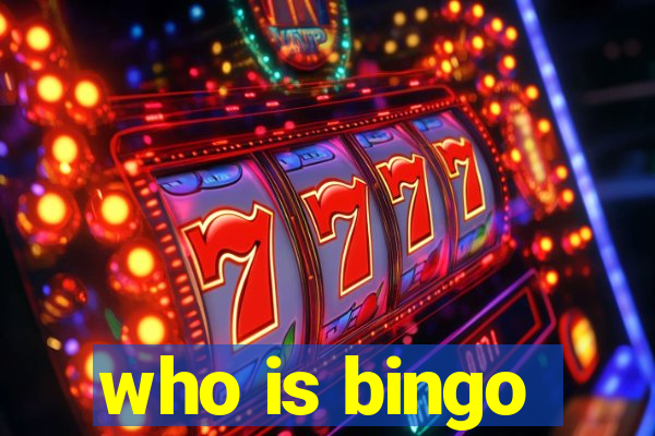 who is bingo