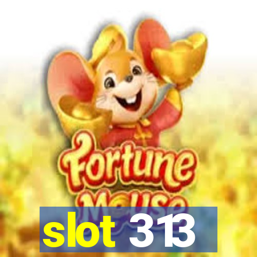 slot 313