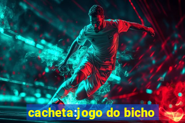 cacheta:jogo do bicho