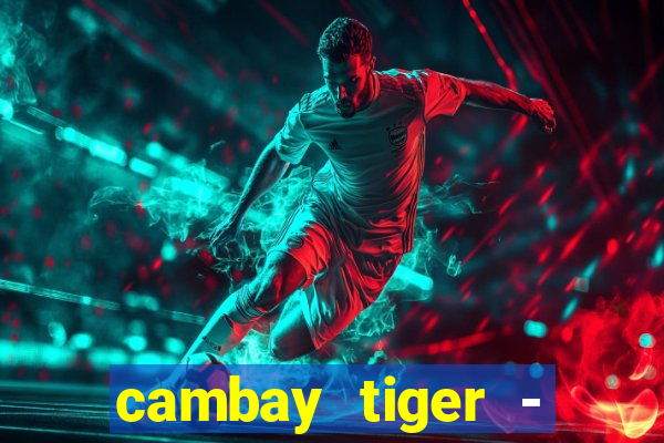 cambay tiger - seafood & meat