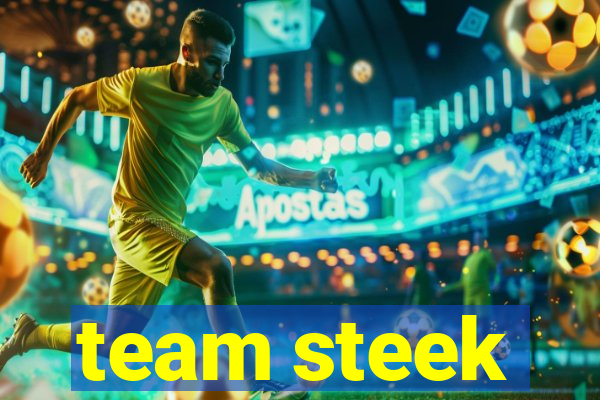 team steek