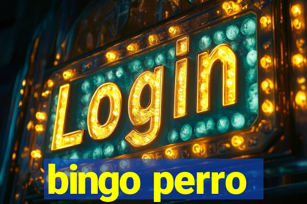 bingo perro